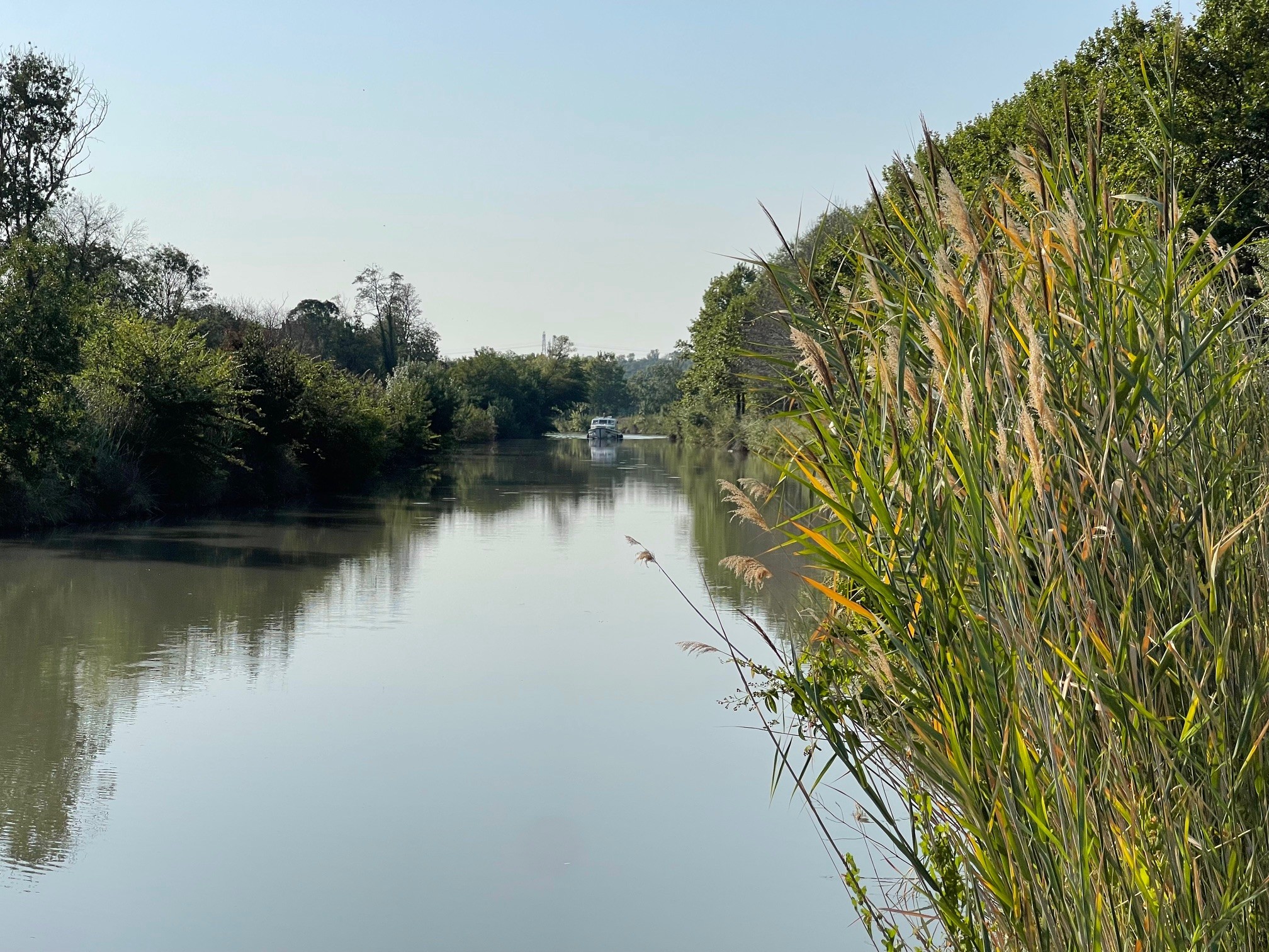 Canal et nature près du domaine
